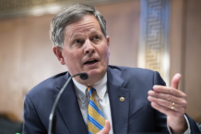 NRSC Steve Daines will not engage in primary activities during this key Senate race