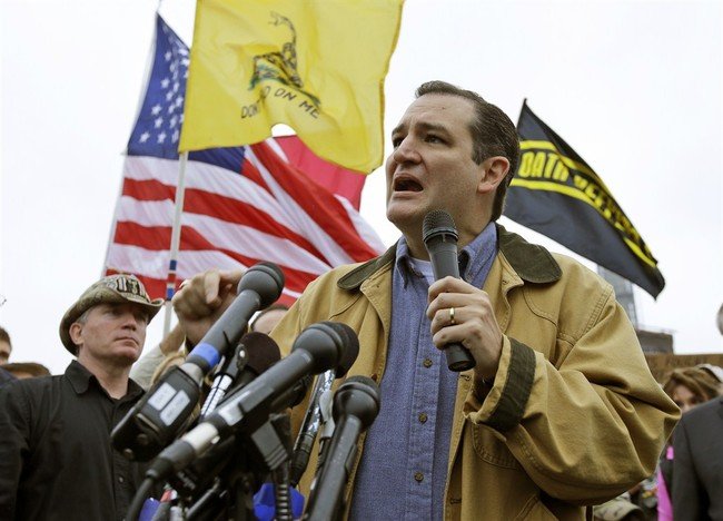 Why the tea party won